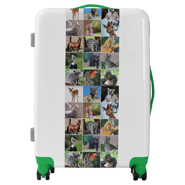 Wildlife 15 Animals Pictured in the Wild Luggage (Front)