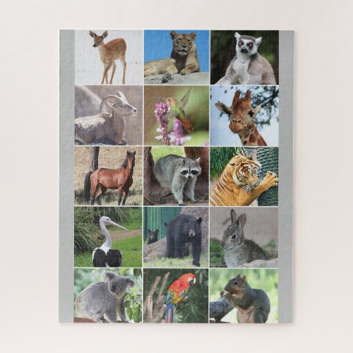 Wildlife 15 Animals Pictured in the Wild Puzzle