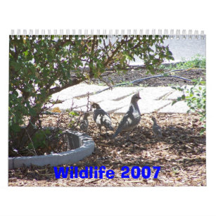 Wildlife 2007 calendar