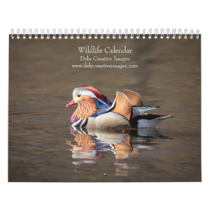 Wildlife 2024 calendar