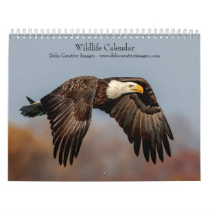Wildlife 2026 calendar