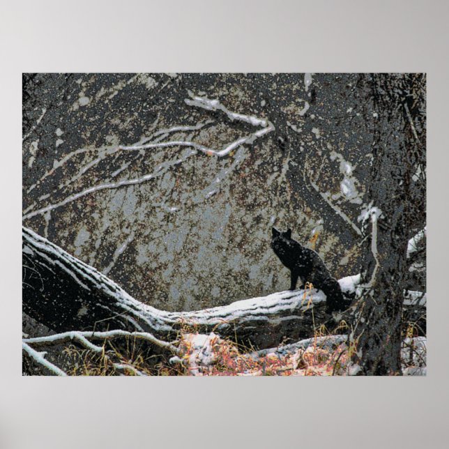 Wildlife 8 cmyk poster (Front)