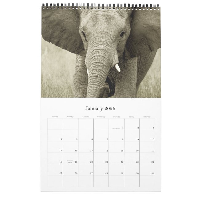 Wildlife Africa calendar 2010 - African safari (Jan 2026)