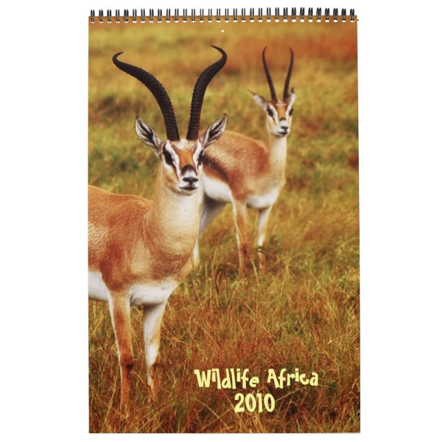 Wildlife Africa calendar 2010 - African safari (Cover)