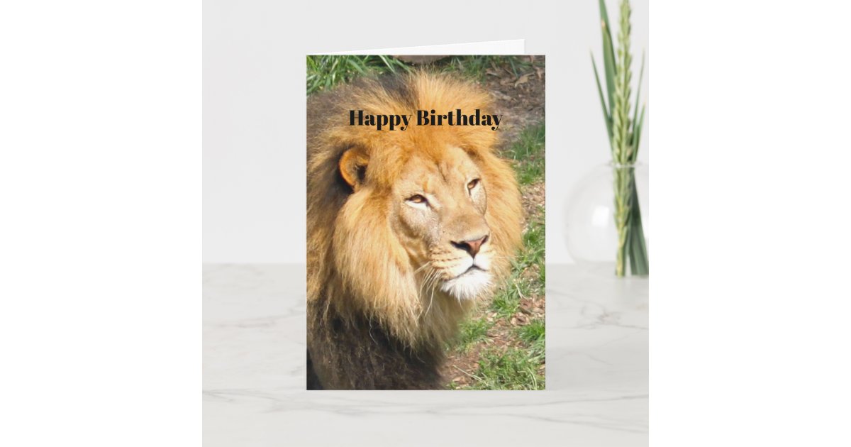 Wildlife African Lion Face Photo Birthday Card | Zazzle