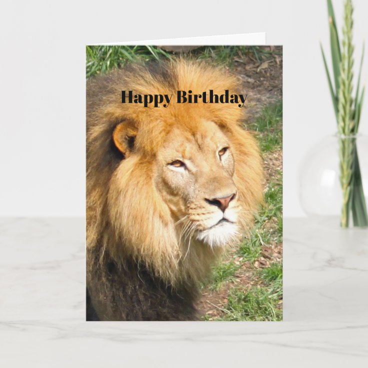 Wildlife African Lion Face Photo Birthday Card | Zazzle