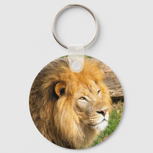 Wildlife African Lion Photo Keychain