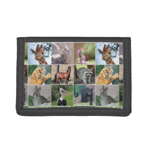 Wildlife Animals Collage in the Wild Boys Teens Tri-fold Wallet
