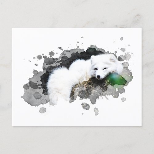  Wildlife AP18 Snow Arctic White Polar Fox Postcard