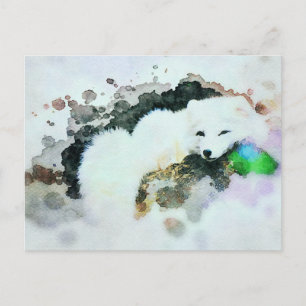 *~* Wildlife AP18 Snow White Arctic Polar Fox Post Postcard