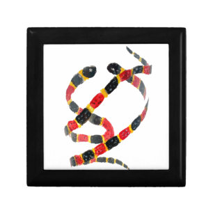 Wildlife Art Coral Snakes Jewelry Box