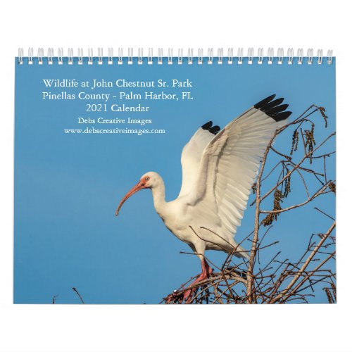 Wildlife at John Chestnut Sr Park 2021 Calendar