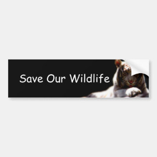 Wildlife Awareness Car Sticker