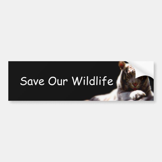 Wildlife Awareness Car Sticker (Front)