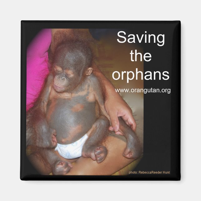 Wildlife Babies: Save the orphans Magnet (Front)