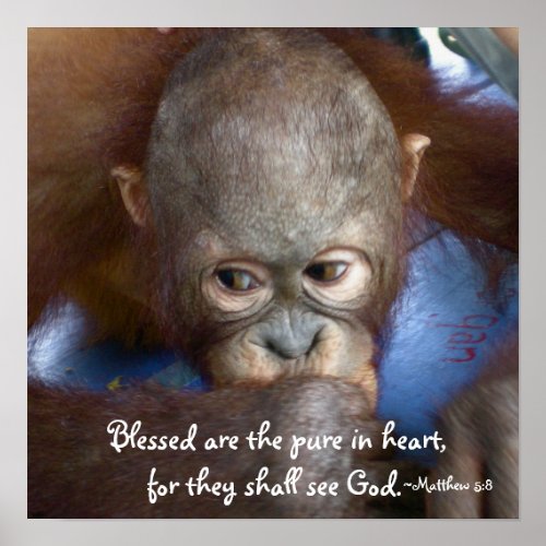 Wildlife Baby  Blessed are the pure in heart Poster