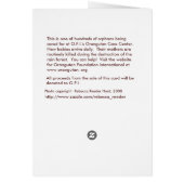 Wildlife Baby Orangutan (version 2) (Back)