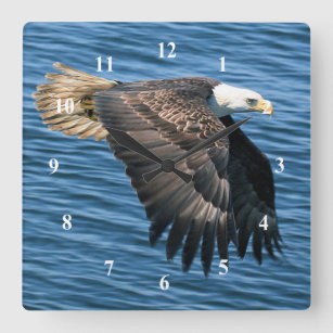 Wildlife Bald Eagle Photo Square Wall Clock