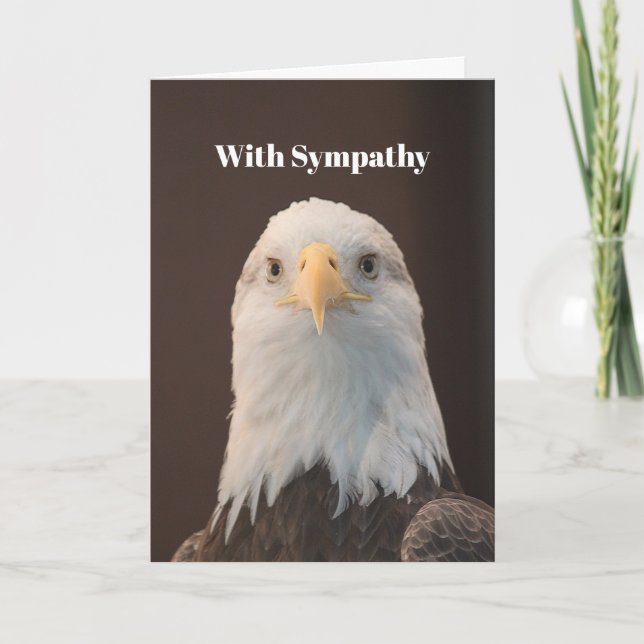 Wildlife Bald Eagle Portrait Photo Sympathy Card (Front)