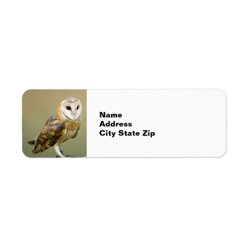 Wildlife Barn Owl Photo Label