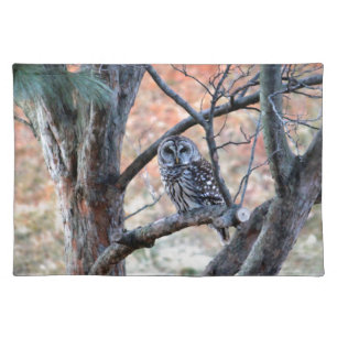 Wildlife Barred Owl Tree Photo Cloth Placemat