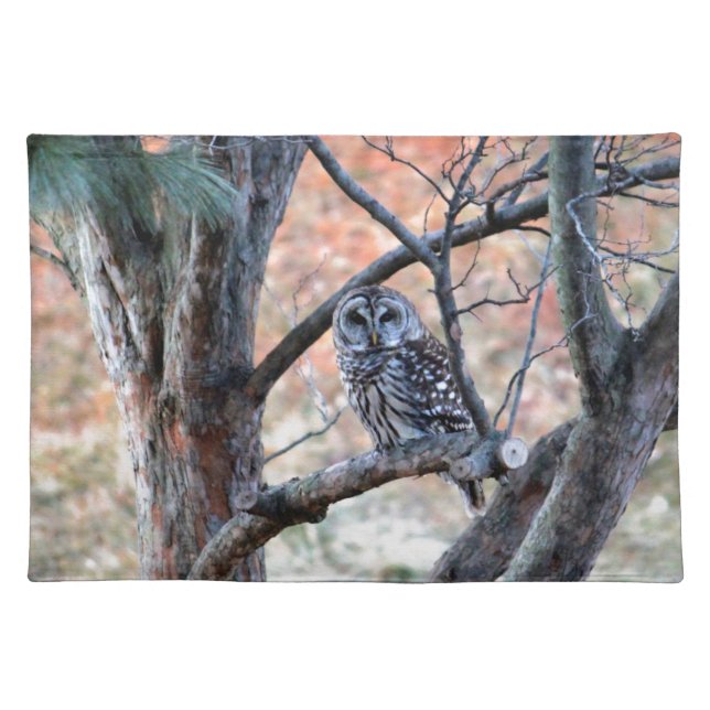Wildlife Barred Owl Tree Photo Cloth Placemat (Front)