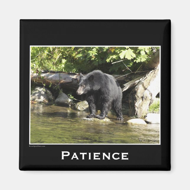 Wildlife Bears Animal-lovers Design Magnet (Front)