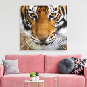 Wildlife Beautiful Tiger Piercing Brown Eyes Canvas Print
