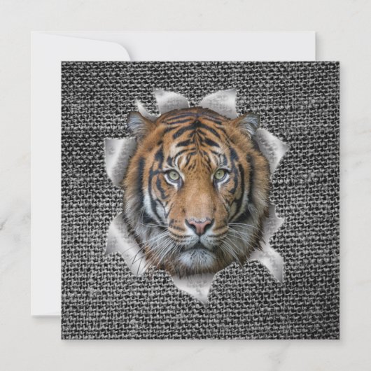 Wildlife Bengal Tiger (Front)