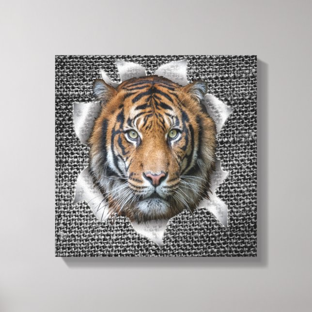 Wildlife Bengal Tiger Canvas Print (Front)
