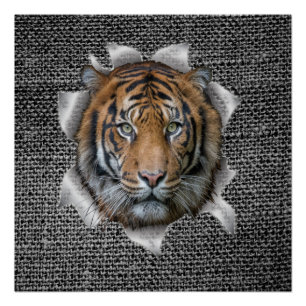 Wildlife Bengal Tiger dressed up joke Poster