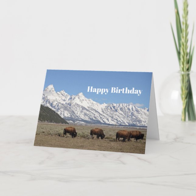 Wildlife Bison Mountains Snow Photo Birthday Card (Front)
