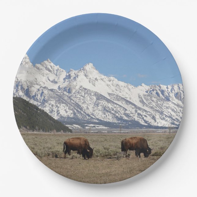 Wildlife Bison Mountains Snow Photo Paper Plates (Front)
