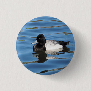 Wildlife Black and White Duck Scaup Photo Button