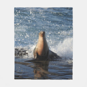 Wildlife blanket, marine life, California sea lion