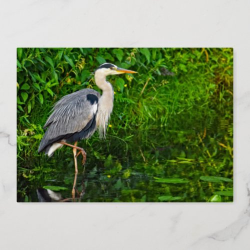 Wildlife Blue Heron Bird Birthday Foil Invitation