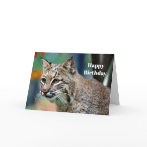 Wildlife Bobcat Photo Birthday Card