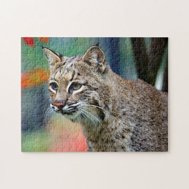 Wildlife Bobcat Photo Jigsaw Puzzle (Horizontal)