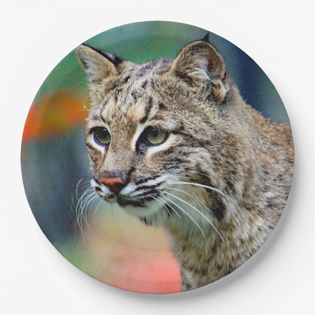 Wildlife Bobcat Photo Paper Plates (Front)