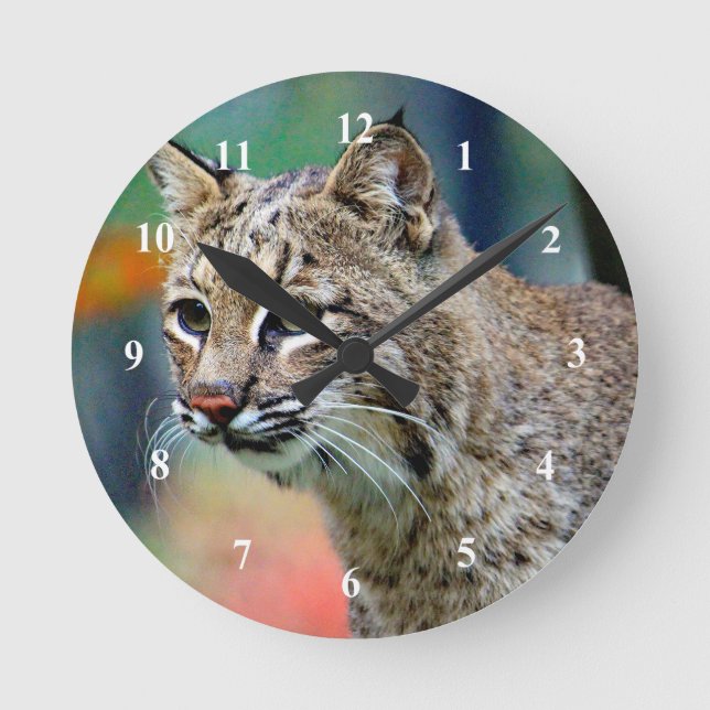 Wildlife Bobcat Photo Round Clock (Front)