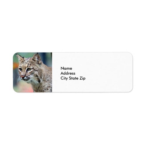 Wildlife Brown Bobcat Lynx Label