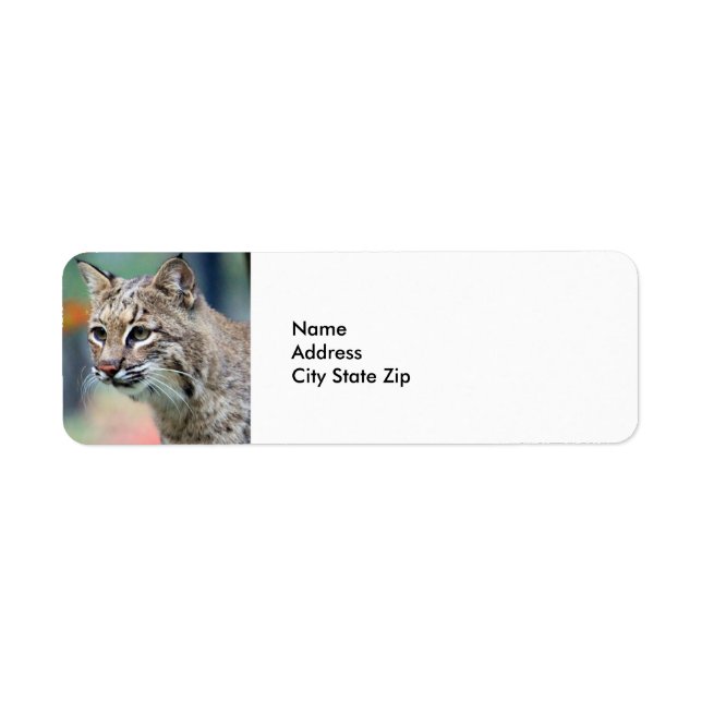 Wildlife Brown Bobcat Lynx Label (Front)