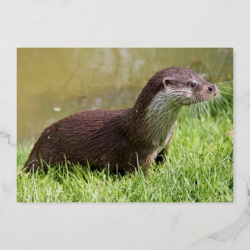 Wildlife Brown Otter Grass Birthday Gold Foil Invitation