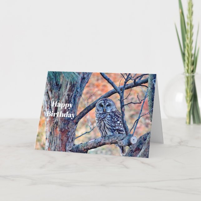 Wildlife Brown Owl Tree Birthday Card (Front)