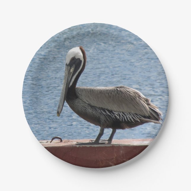 Wildlife Brown Pelican Water Photo Paper Plates (Front)
