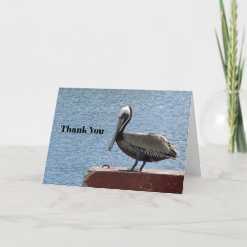 Wildlife Brown Pelican Water Photo Thank You Card