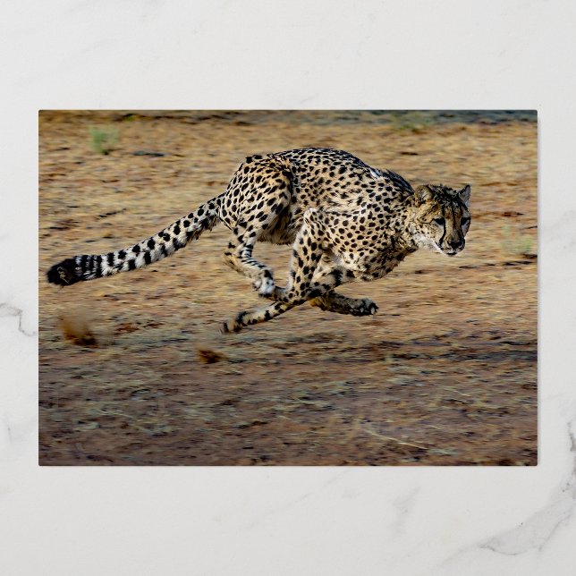 Wildlife Brown Running Cheetah Birthday Gold Foil Invitation (Back)