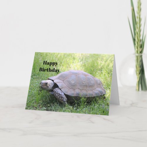 Wildlife Brown Tortoise Photo Birthday Card