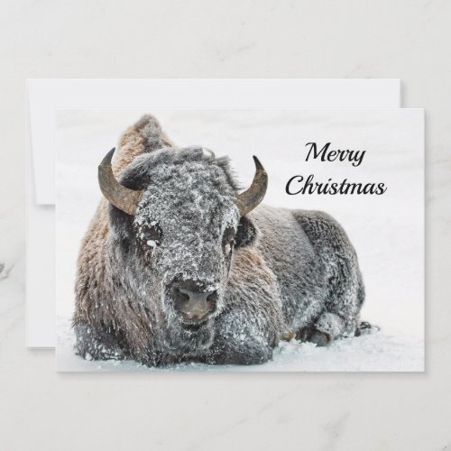 Wildlife Buffalo Snow Photo Christmas Flat Holiday Card