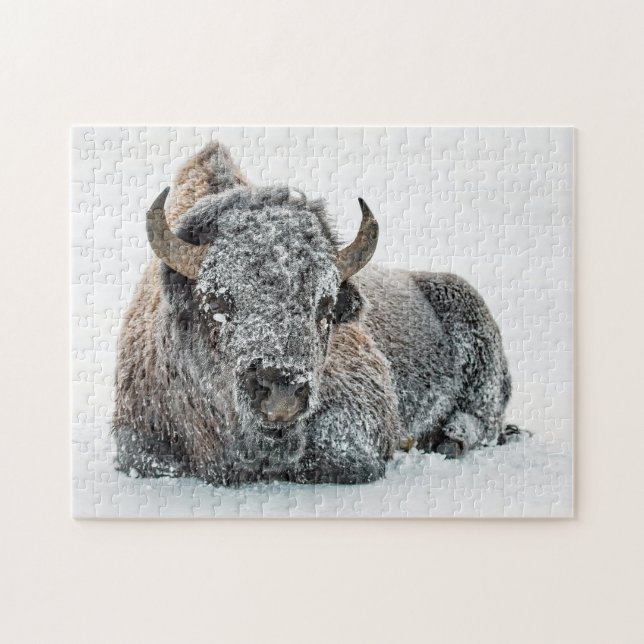 Wildlife Buffalo Snow Photo Jigsaw Puzzle (Horizontal)
